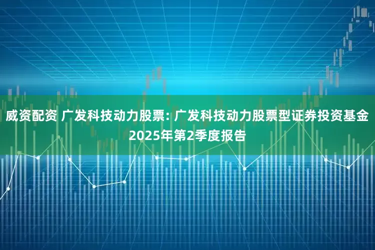 威资配资 广发科技动力股票: 广发科技动力股票型证券投资基金2025年第2季度报告