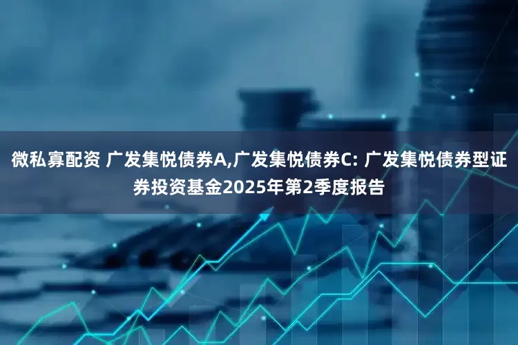 微私寡配资 广发集悦债券A,广发集悦债券C: 广发集悦债券型证券投资基金2025年第2季度报告