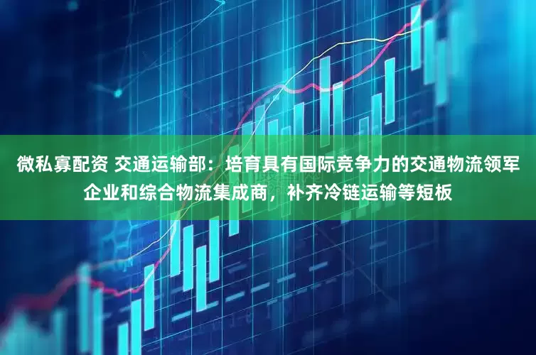 微私寡配资 交通运输部：培育具有国际竞争力的交通物流领军企业和综合物流集成商，补齐冷链运输等短板
